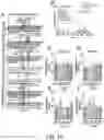 Fig. 15 - Methods For Assessing Risk Of Cardiovascular Disease And Methods And Compounds For Use In Treating Or Preventing Cardiovascular Disease