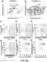 Fig. 21 - Methods For Assessing Risk Of Cardiovascular Disease And Methods And Compounds For Use In Treating Or Preventing Cardiovascular Disease