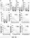 Fig. 23 - Methods For Assessing Risk Of Cardiovascular Disease And Methods And Compounds For Use In Treating Or Preventing Cardiovascular Disease