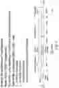 Fig. 03 - Bispecific CAR T-cells for solid tumor targeting