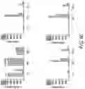 Fig. 12 - Bispecific CAR T-cells for solid tumor targeting