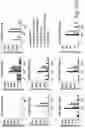 Fig. 27 - Bispecific CAR T-cells for solid tumor targeting