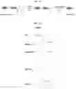 Fig. 03 - Compositions and methods for adoptive cell therapy for cancer