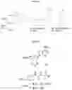Fig. 04 - Compositions and methods for adoptive cell therapy for cancer