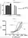 Fig. 08 - Compositions and methods for adoptive cell therapy for cancer