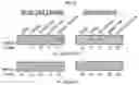 Fig. 10 - Compositions and methods for adoptive cell therapy for cancer