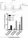 Fig. 19 - Compositions and methods for adoptive cell therapy for cancer