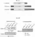Fig. 27 - Compositions and methods for adoptive cell therapy for cancer