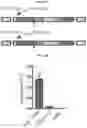 Fig. 35 - Compositions and methods for adoptive cell therapy for cancer