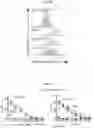 Fig. 37 - Compositions and methods for adoptive cell therapy for cancer
