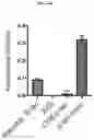 Fig. 44 - Compositions and methods for adoptive cell therapy for cancer