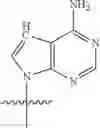 Fig. 65 - Compositions and methods for adoptive cell therapy for cancer