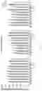 Fig. 06 - CHEMICALLY MODIFIED OLIGONUCLEOTIDES