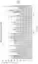 Fig. 11 - CHEMICALLY MODIFIED OLIGONUCLEOTIDES