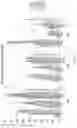 Fig. 12 - CHEMICALLY MODIFIED OLIGONUCLEOTIDES