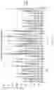 Fig. 13 - CHEMICALLY MODIFIED OLIGONUCLEOTIDES