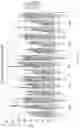 Fig. 16 - CHEMICALLY MODIFIED OLIGONUCLEOTIDES