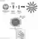 Fig. 02 - T cell compositions with improved phenotypic properties