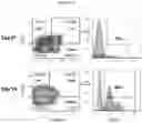 Fig. 05 - T cell compositions with improved phenotypic properties