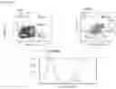 Fig. 11 - T cell compositions with improved phenotypic properties