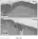 Fig. 02 - Biologic preserving composition and methods of use