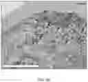 Fig. 05 - Biologic preserving composition and methods of use