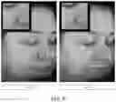 Fig. 17 - Biologic preserving composition and methods of use