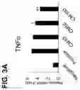 Fig. 07 - PHARMACEUTICAL COMPOSITION FOR TREATMENT OF ATOPY CONTAINING EXOSOMES DERIVED FROM NEURAL STEM CELLS