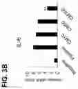 Fig. 08 - PHARMACEUTICAL COMPOSITION FOR TREATMENT OF ATOPY CONTAINING EXOSOMES DERIVED FROM NEURAL STEM CELLS