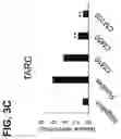 Fig. 09 - PHARMACEUTICAL COMPOSITION FOR TREATMENT OF ATOPY CONTAINING EXOSOMES DERIVED FROM NEURAL STEM CELLS