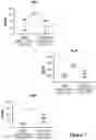 Fig. 08 - Engineered immunostimulatory bacterial strains and uses thereof
