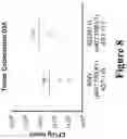 Fig. 09 - Engineered immunostimulatory bacterial strains and uses thereof