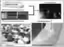 Fig. 01 - Topical kits and compositions and use thereof