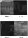 Fig. 08 - Topical kits and compositions and use thereof