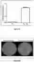 Fig. 10 - Topical kits and compositions and use thereof