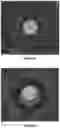 Fig. 13 - Topical kits and compositions and use thereof