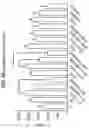 Fig. 04 - Compositions comprising bacterial strains