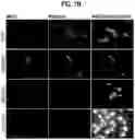 Fig. 08 - Compositions comprising bacterial strains