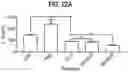 Fig. 23 - Compositions comprising bacterial strains