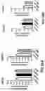 Fig. 32 - Compositions comprising bacterial strains