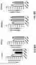 Fig. 34 - Compositions comprising bacterial strains