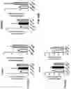 Fig. 40 - Compositions comprising bacterial strains