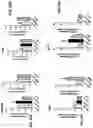 Fig. 44 - Compositions comprising bacterial strains