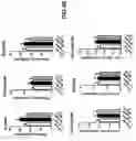 Fig. 53 - Compositions comprising bacterial strains