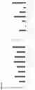 Fig. 11 - Methods and compositions for treating gastrointestinal and inflammatory disorders
