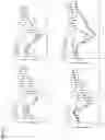 Fig. 12 - Methods and compositions for treating gastrointestinal and inflammatory disorders