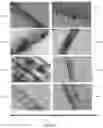 Fig. 05 - Materials and methods for improving immune responses and skin and/or mucosal barrier functions