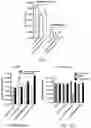 Fig. 12 - Materials and methods for improving immune responses and skin and/or mucosal barrier functions