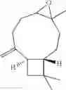 Fig. 19 - Pharmaceutical composition and method of manufacturing