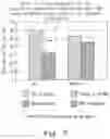 Fig. 03 - SOUR CHERRY TOPICAL BIOTHERAPEUTIC FORMULATIONS, METHOD OF MANUFACTURE AND METHOD OF TREATMENT OF HUMAN OSTEOARTHRITIS SYMPTOMS